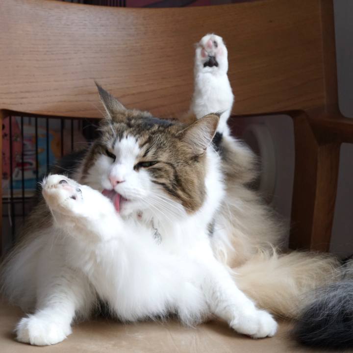 506473dd 4271 4027 8228 2ddb9f02c0e6 1571629667572