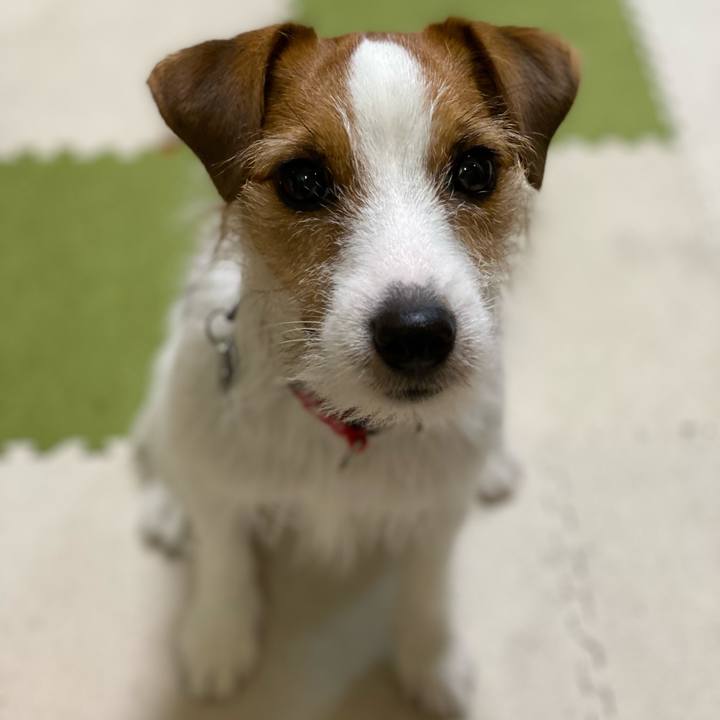 506474d8 941b 4511 99ba a54b3b46b40b 1637315310975