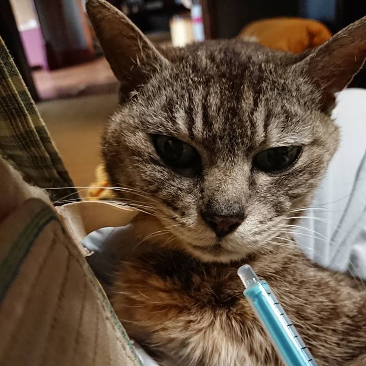 50647ee4 22d4 481d b4a4 96b6aaddd3cc 1593902405994