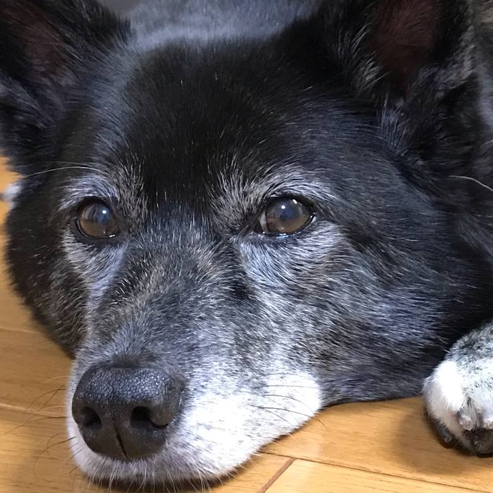 50648376 30cf 4ce1 b47f 36c57ad87e5a 1556870343807