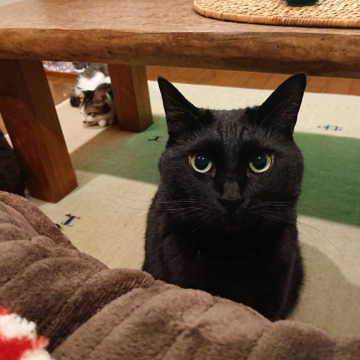 506496a3 84d8 42ec 851e a479bef7eca0 1675083758729