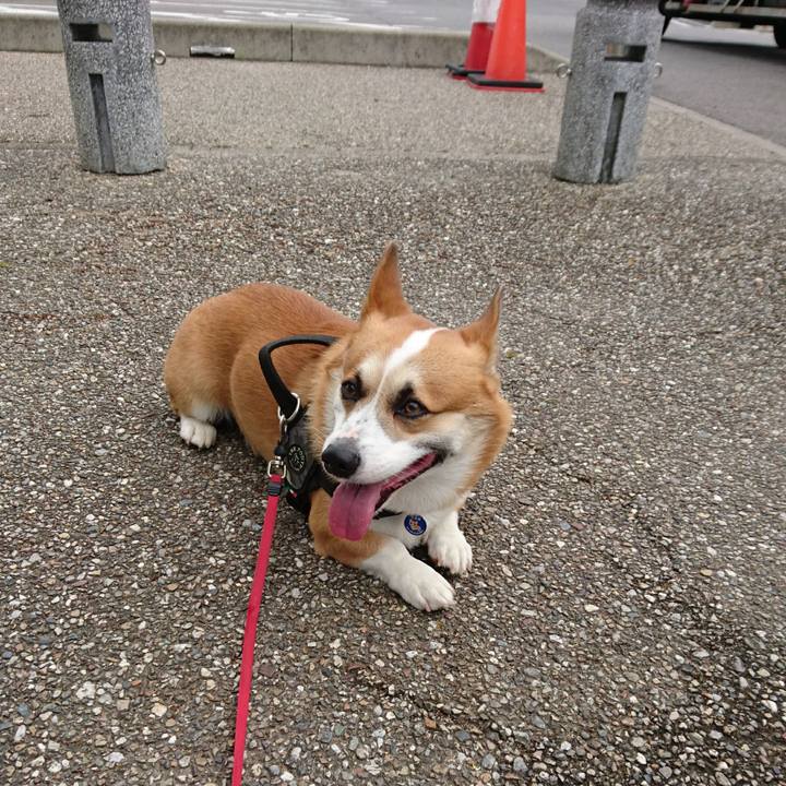 50653f22 fb82 42ec 92ea ebf08250a48c 1621298370432