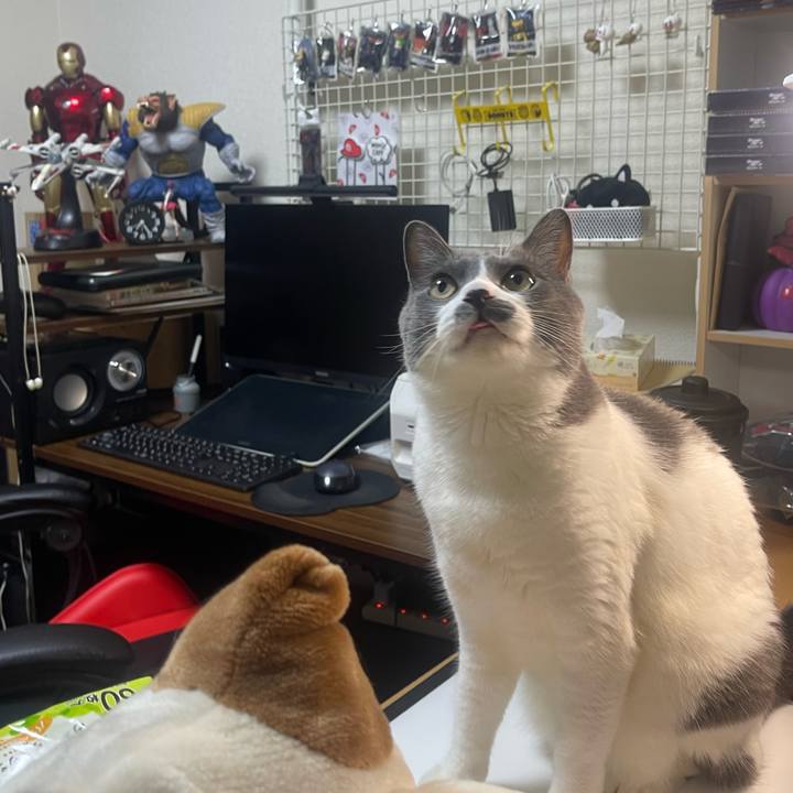 50654074 5825 4e82 98a1 38895bb5a66e 1722588782542