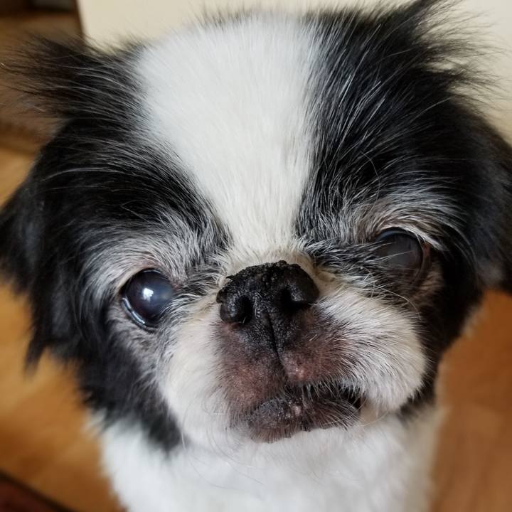 5065bd3b 02a9 47c3 a4de a8a091496453 1580034277016