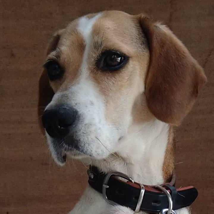 5065d4d9 1f8e 432e 80de 5102db83f168 1657964126082