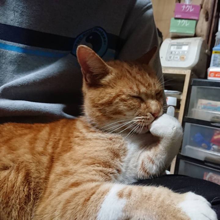 5065d680 8ea8 4bc1 a04f 0fa0d33adf49 1604917023570