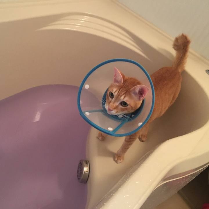 5066140b 9bdc 4eeb 8a6d efee8bb80ad0 1510675051439