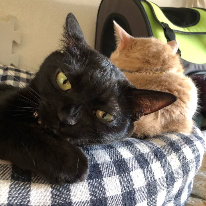 50664f3b c5c4 4c8a a379 9496f442ca6b 1578785865841