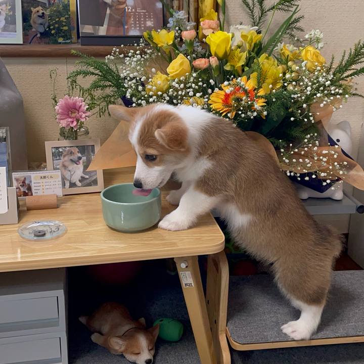 50665165 d4a1 4d5e 8ee5 9426b80b83e8 1766640971411