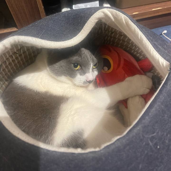 506654e6 5b84 478a a16a f231e7276a3f 1716547062849