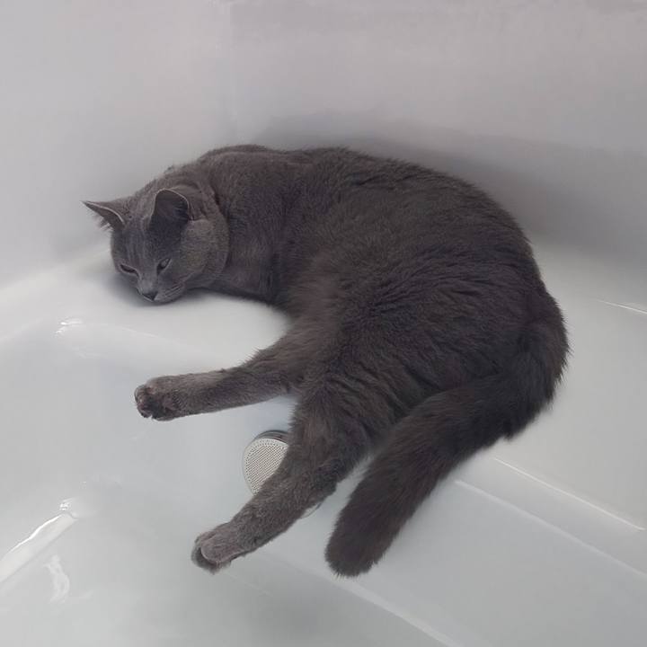 506657fb 5886 4f3d 9098 7b7cb6386b77 1538888179689