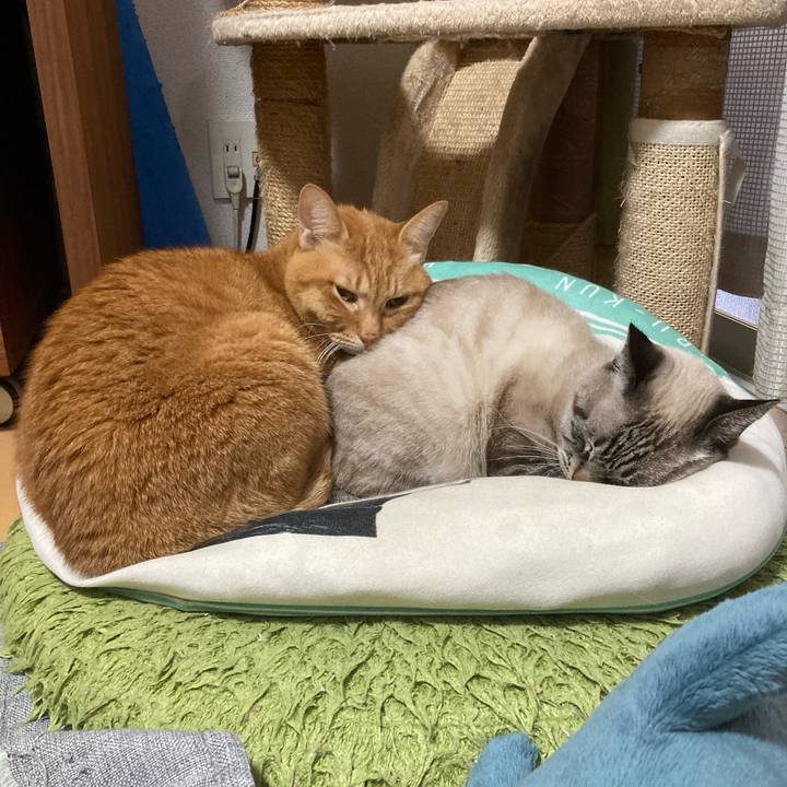 50667589 fe3b 43f9 b7f2 feb3e295598d 1766764478234