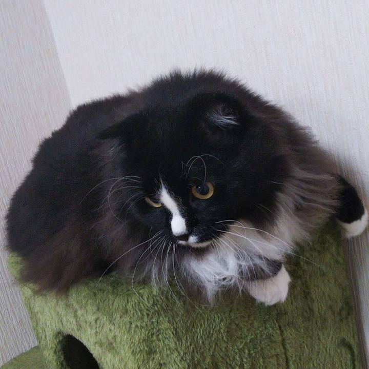 506693b9 1064 4c2c 9867 a7a13a19cfdb 1659834949222