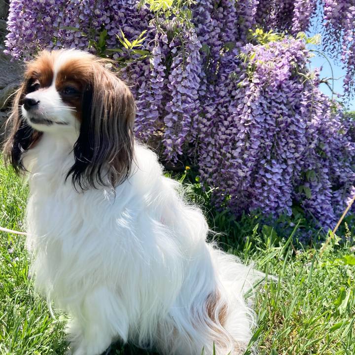 5066cfab 7078 4a92 8fc2 5d8cd3864412 1653799599594