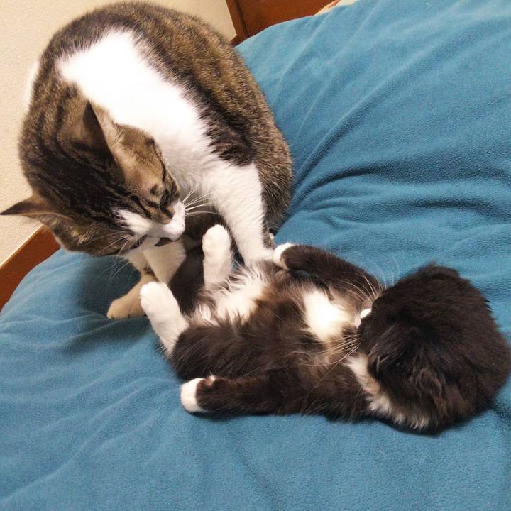 5066d75e c1c6 4b12 94a0 ee44cad787cc 1639214605697