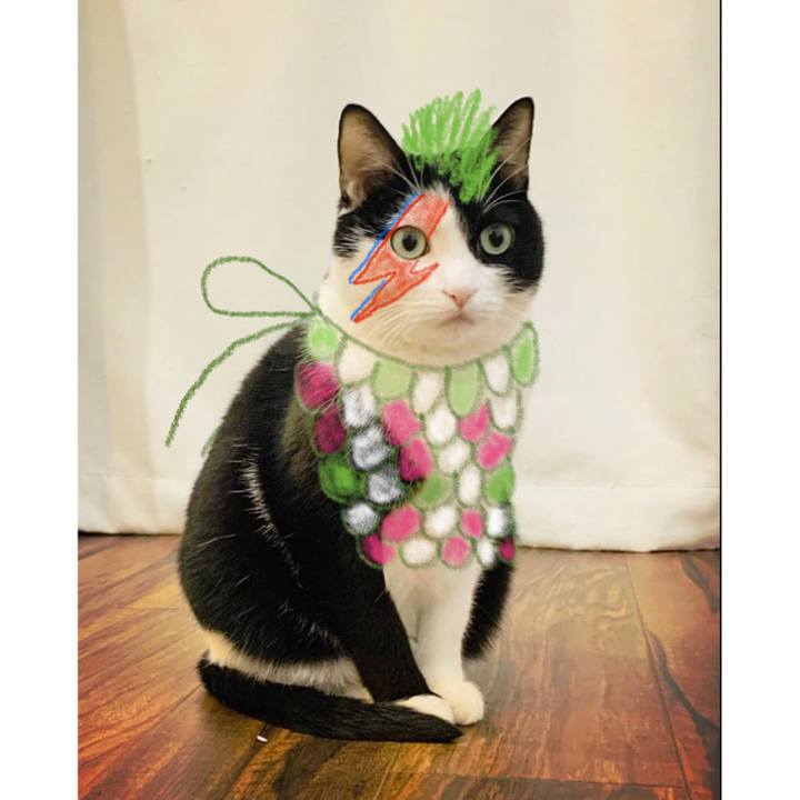 5066e263 cf10 45f8 926f c9d395969c9b 1588201277195