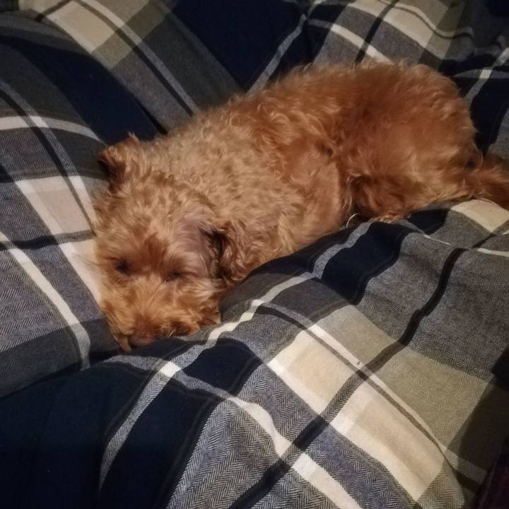 50670e77 8f5e 45ae 88f9 de9e65ec4b16 1573132037386