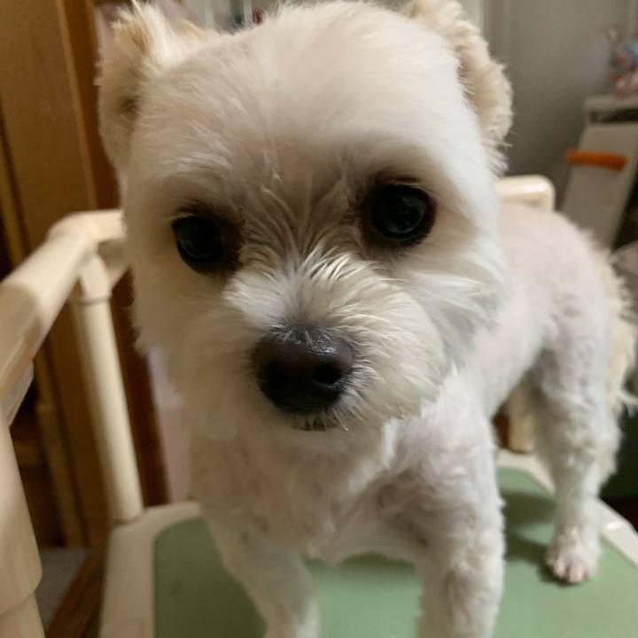 506722a1 14d5 4abd b605 efe1c1370323 1625471038314