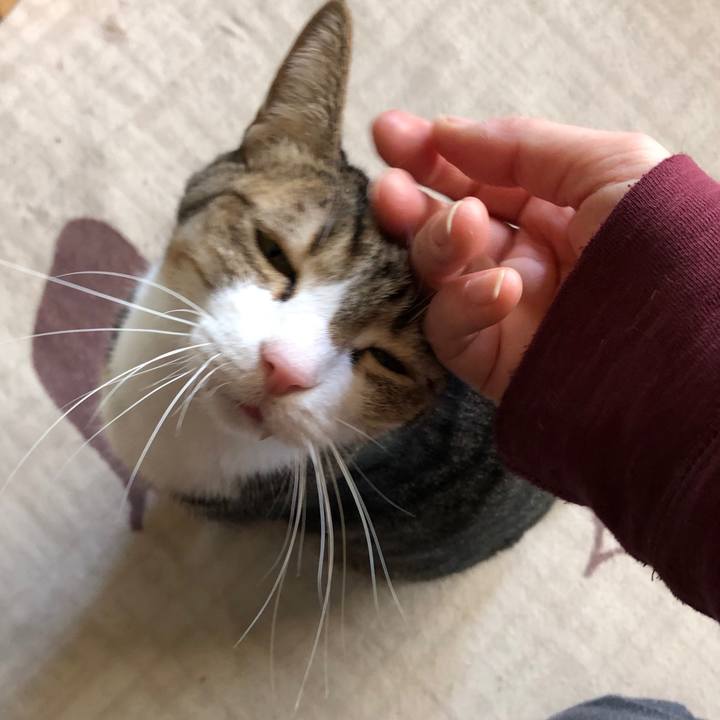 506726e1 79f2 4639 8d7b 1e507ffa51b8 1671944313135