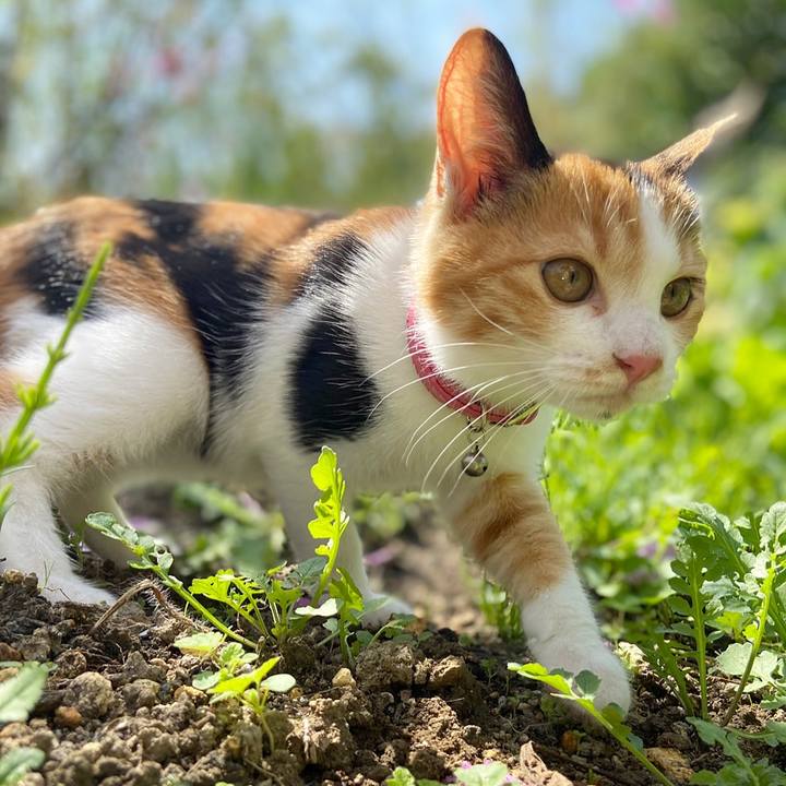 50678f83 880c 4810 a09b 2c5fca1a430b 1633316945432