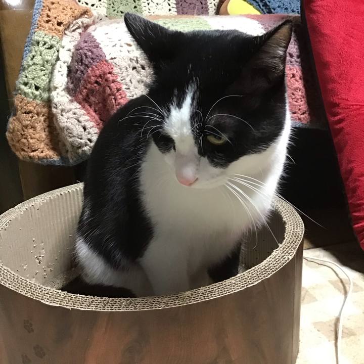 5067aa56 e16d 448b 937d 60da17fa2539 1700650143557