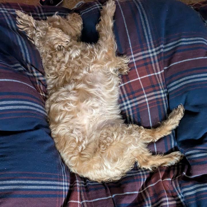 5067be75 1e7c 4c68 aa2c 08ba70b5320b 1774522619024