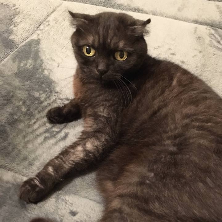 5067c19f 7f97 4f8e ac8e d8c257c03059 1560432297365