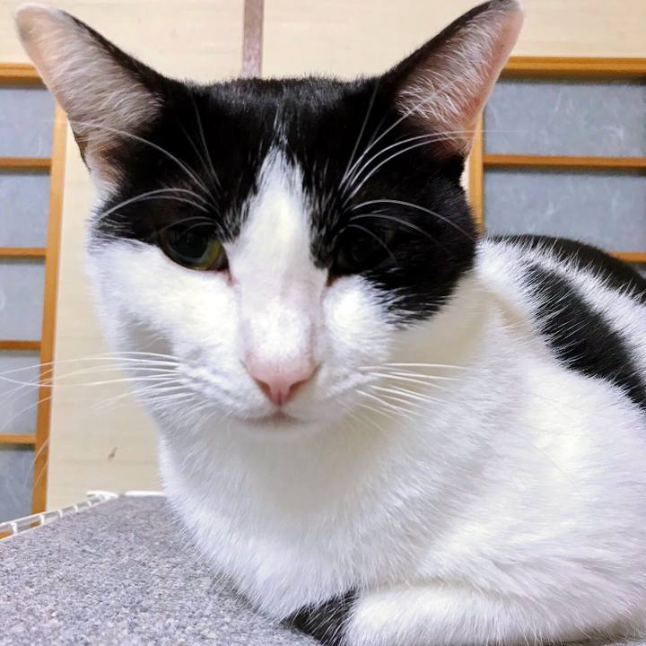 5067cdfd 8ab7 42ad 85b7 639780f90d17 1509027434694