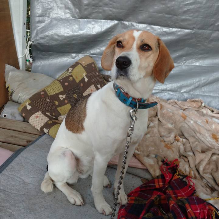 5067fbf5 fefd 418d ace1 fe28a1124c21 1608715563597