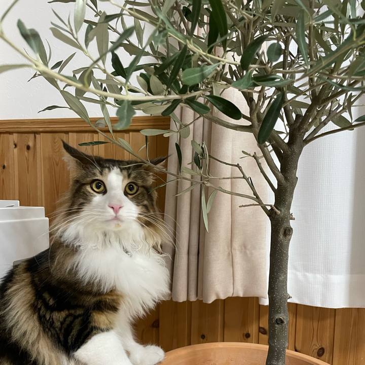 50681fff 78ed 4035 bfa0 10ffcbf64160 1645317231671