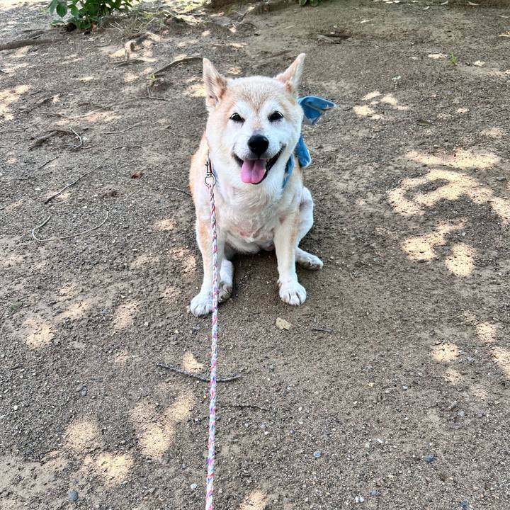 50684527 cbd2 4199 9c80 206dc711fc00 1751160587897