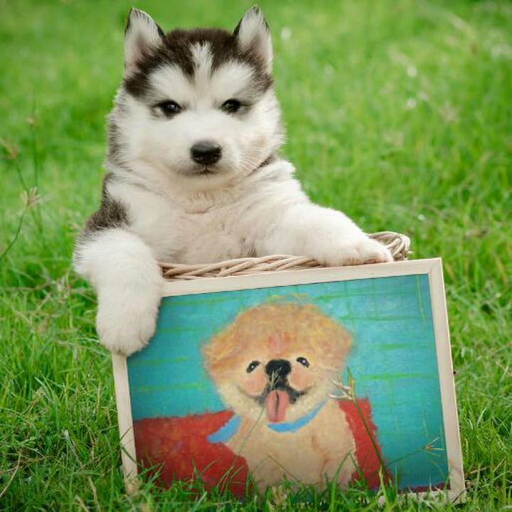 506880a3 1bdb 409c b9eb 0cfd4a2df13e 1527121463822