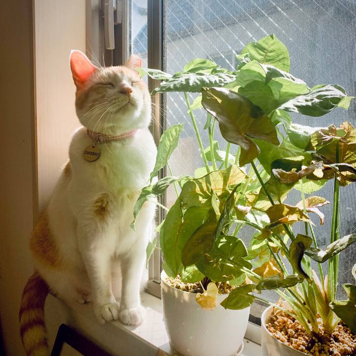 5068c0e4 3496 4905 8f4c d34a6a90cdff 1667703803569