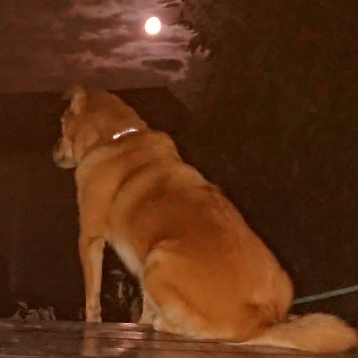 5068e8f7 3fa0 494d 8e15 e8a7b5879214 1601545753593