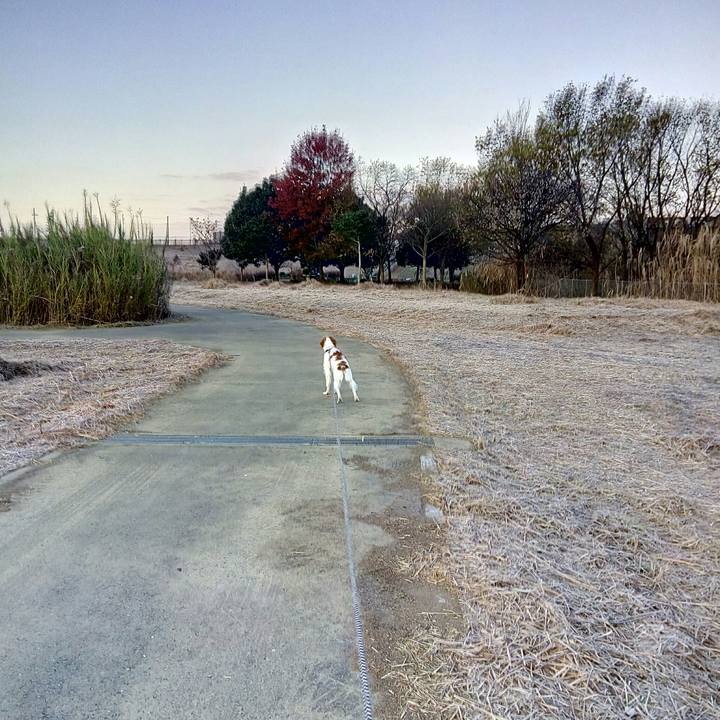 5068f247 f38f 4d5a 8dbf 8af2c7789141 1513728886133