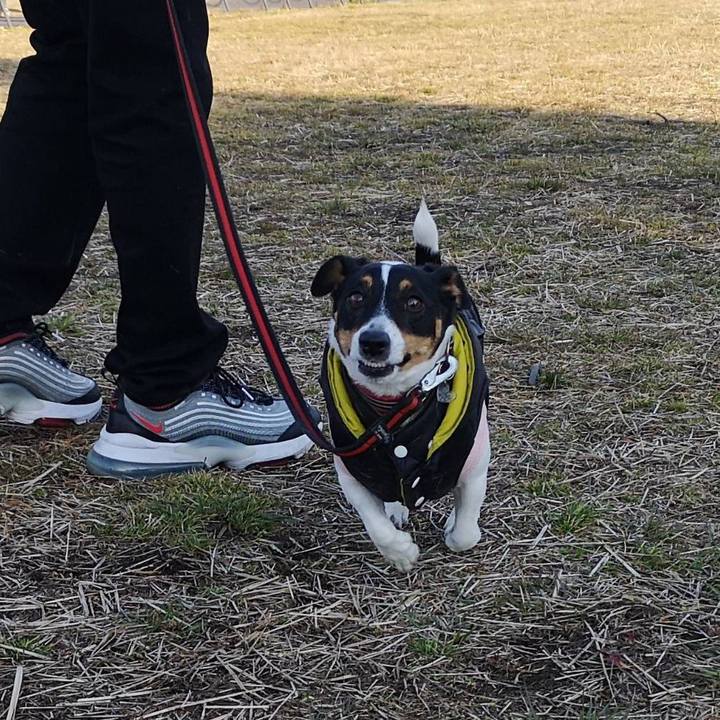 50691f68 525e 411f b618 0f9332a8b5bb 1644667924800