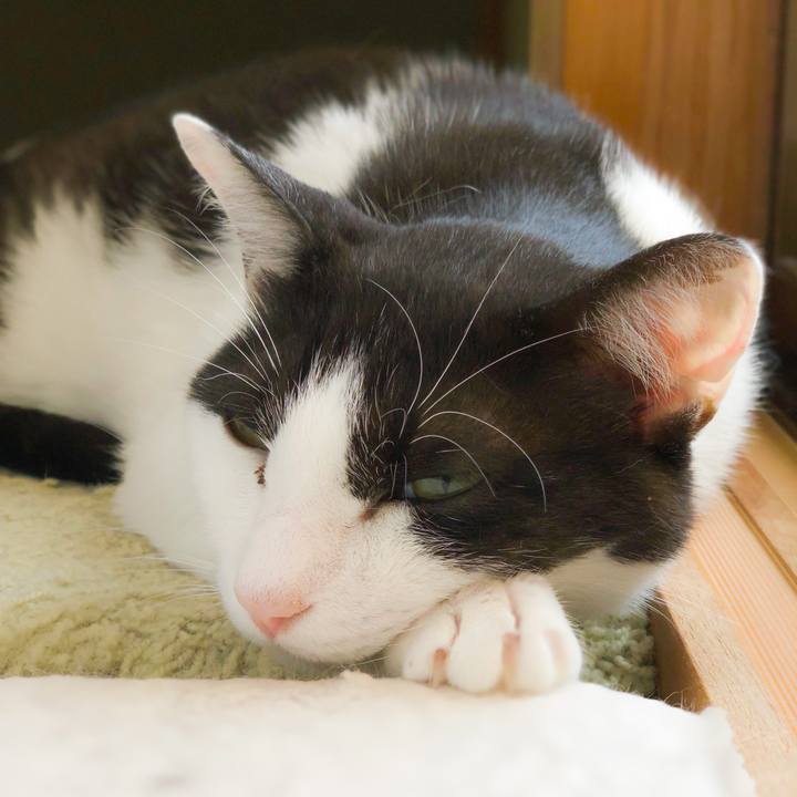 50695eb7 4f2b 4aa7 b34e 9dec9fbfda67 1564187390023