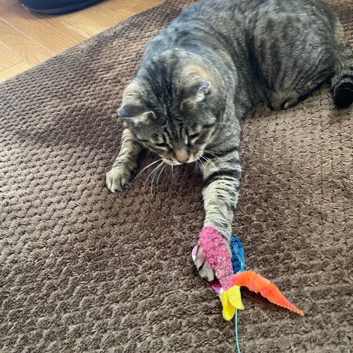 506966a3 9a3b 4d75 813d 84b7d51a4873 1619349986483