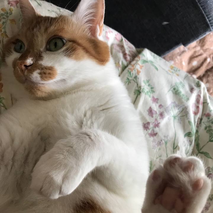 50696bbd 1f97 4c75 beaf 812d3612c81f 1528930984269