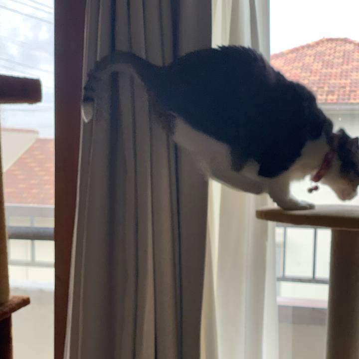 50696be6 3d01 48ad 842a eed70683a2a5 1731455213606