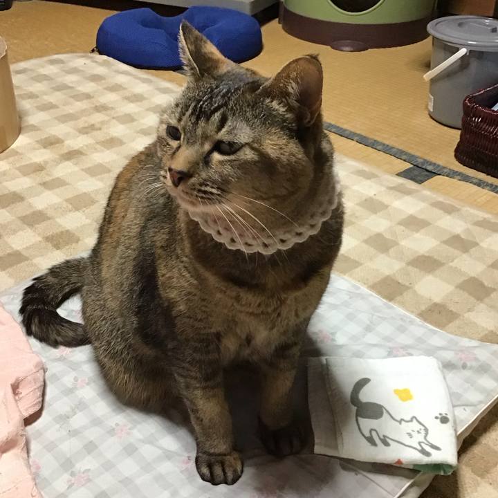 50697c6d 3ac0 4676 89ea 6cc716386788 1740043550027