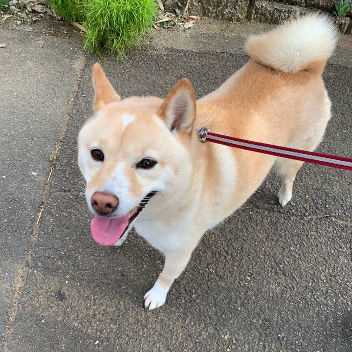 50698429 e728 4165 9b07 88e59f4523bd 1623537062408