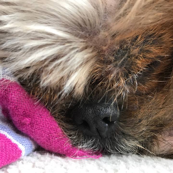 5069b1c4 0085 4f52 ac58 4d6c00f904d2 1539589376875