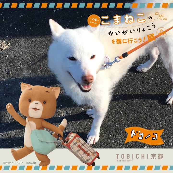 5069ba43 1472 415a a875 195ecd74ecc8 1740232980403