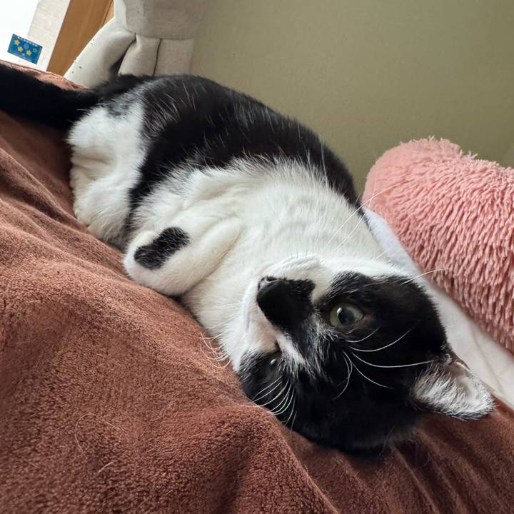 506a283b 4465 458c 94c4 6710e48a5565 1770507209165