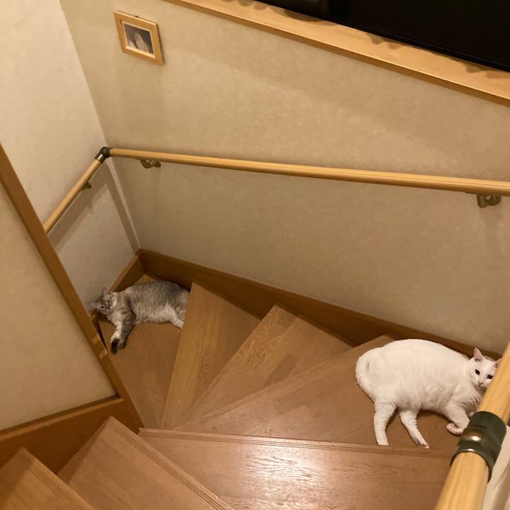 506a697b ecad 4f7b adc3 76676e3be337 1696404498559