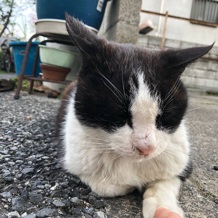 506a6eb4 0134 4223 a306 cd0dcb6b1916 1523441583697