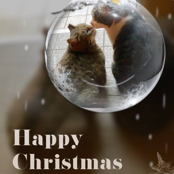 506a8c15 a307 425b 8d3b f6dc4ea21337 1545641756499