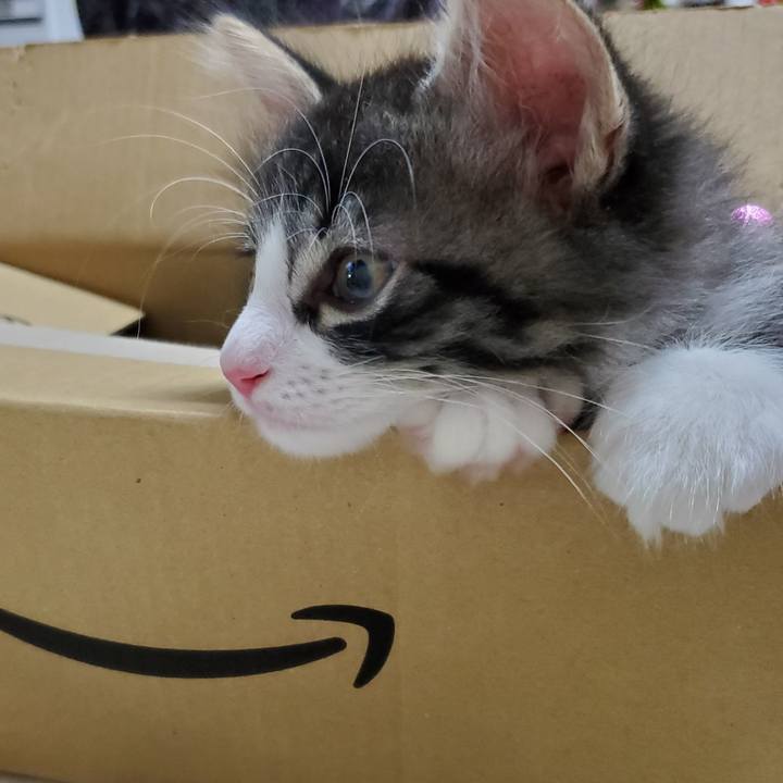 506abda8 6863 4eba 8006 6503d19fb59a 1627463081951