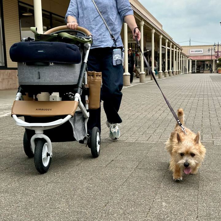 506acce0 5457 4c15 b808 6d991be33b88 1717074016512